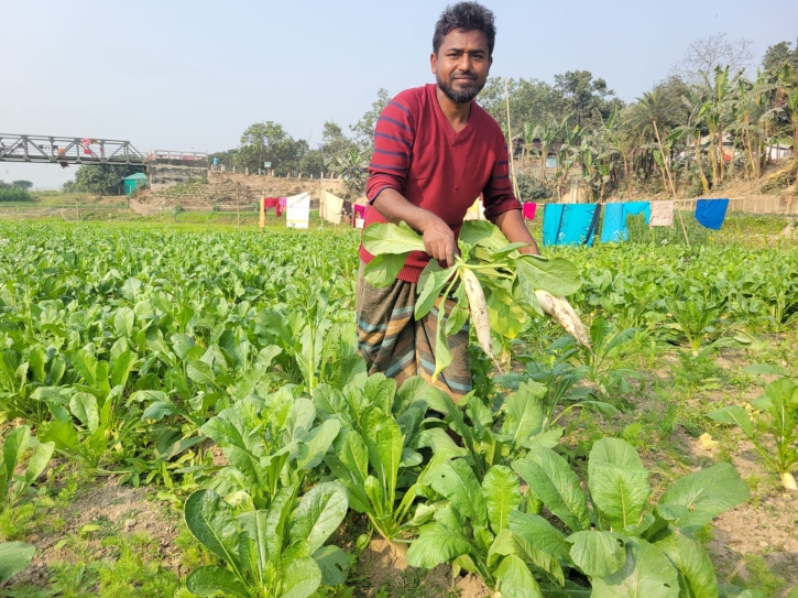বগুড়ার শেরপুরের ধুঁকতে থাকা করতোয়া নদী এখন কৃষকের ‘সোনার খনি’